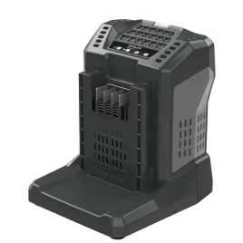 ladowarka-5-5a-bcp60-5-5a-stalco-perfect-60v-szybkie-ladowanie