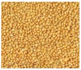 proso-zolte-suche-oczyszczone-dla-ptakow-zimujacych-papug-i-egzotyki-4x5kg