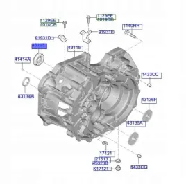hyundai-oe-43119-39070-simering-polosi