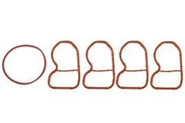 zestaw-uszczelek-kolektora-ssacego-bmw-3-5-x3-x4-x5