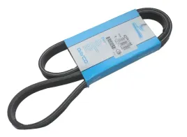 pasek-wielorowkowy-6dpk1195-dayco-vw-ford-audi