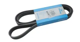 pasek-wielorowkowy-6pk1830-dayco