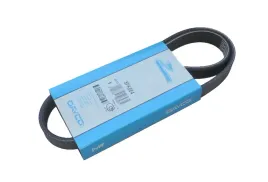 pasek-wielorowkowy-5pk884-dayco