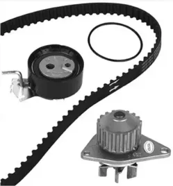 rozrzad-citroen-peugeot-c2-c3-berligno-saxo-1-1