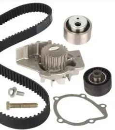 rozrzad-berlingo-partner-xsara-dw8