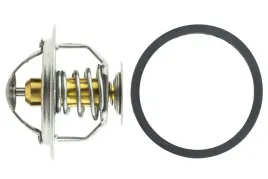 termostat-iveco-daily-citroen-c25-fiat-ducato-peugeot-boxer