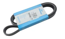 pasek-wielorowkowy-6pk1565-dayco