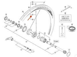 szprycha-shimano-wh-rs81-c50-cl-r-289-mm