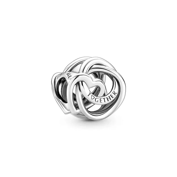 Charms Pandora - Rodzina jest najważniejsza 791507C00