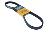 contitech-pasek-wielorowkowy-6pk1019elast