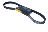 contitech-pasek-wielorowkowy-6pk1019elast