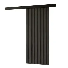 drzwi-przesuwne-ercado-samodomykacz-antracyt-66-cm