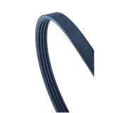 contitech-pasek-wielorowkowy-4pk860