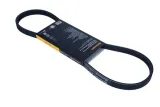 contitech-pasek-wielorowkowy-4pk815
