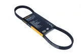 contitech-pasek-wielorowkowy-4pk790