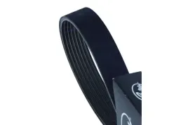 gates-pasek-wielorowkowy-7pk1165sf-renault
