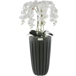 storczyk-sztuczny-bialy-w-donicy-bukiet-h100-m-donica-antracytowa-zlobienia