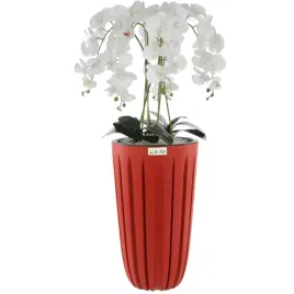 storczyk-sztuczny-bialy-w-donicy-bukiet-h-100-cm-donica-czerwona-zlobienia