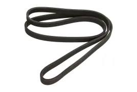 dayco-pasek-wielorowkowy-6dpk1817