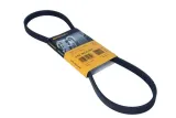 contitech-pasek-wielorowkowy-4pk922elast