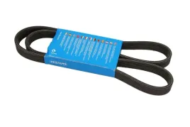 dayco-pasek-wielorowkowy-6dpk1352