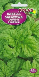 bazylia-salatowa-nasiona-ziol-occimum-basilicum-duze-liscie-aromatyczne