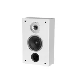 wilson-raptor-on-wall-bialy-para-stan-nowy