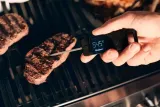 termometr-do-grillowania-enders-kod-producenta-8601