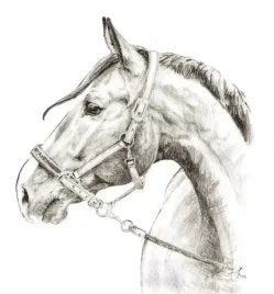 naklejka-na-samochod-do-stajni-rysunek-1-glowa-konia-czarna