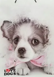 torebka-prezentowa-wandk-dogs-400x560-mix