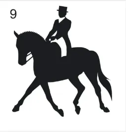 naklejka-na-samochod-do-stajni-wzor-09-srebrna