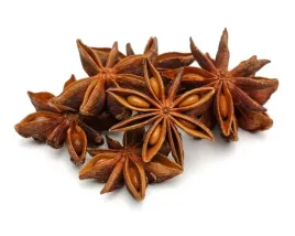 anyz-dla-koni-equiherbs-cale-nasiona-500g