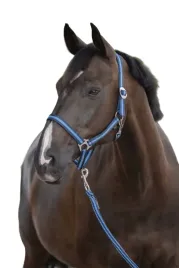 kantar-dla-konia-covalliero-hippo-granatowy-niebieski-pony