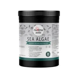 algi-morskie-dla-koni-nuvena-sea-algae-900g