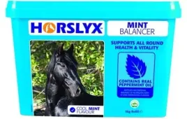 lizawka-horslyx-witaminowa-mint-5kg