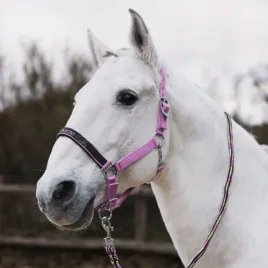 zestaw-kantar-dla-konia-i-uwiaz-horze-graffiti-25ss-rozowy-pony