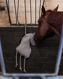 zabawka-dla-koni-qhp-horse-szary-zapobiega-nudzie
