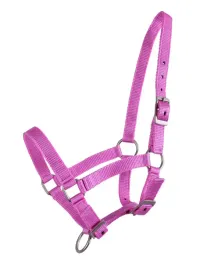 kantar-dla-zrebaka-qhp-pony-rozowy-foal