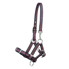 kantar-zrebiecy-na-roczne-zrebie-kavalkade-fohlen-foal-i