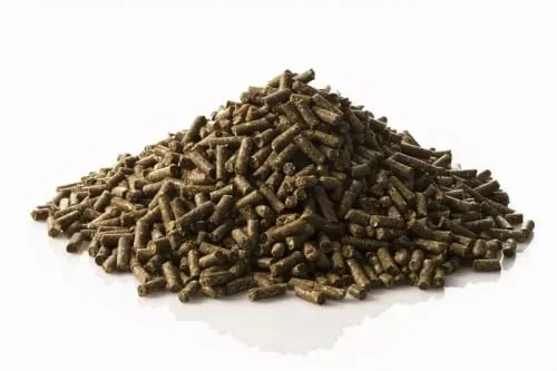 pasza-dla-koni-wrzodowych-st-hippolyt-brandon-xsclinical-25kg-granulat