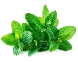 mieta-equiherbs-ziele-suszone-1000g