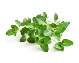 oregano-dla-koni-odkazajace-equiherbs-1000g-eko-torba