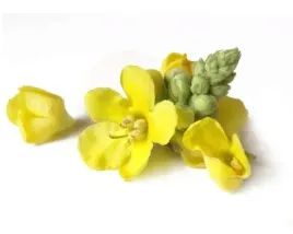 dziewanna-equiherbs-kwiat-500g