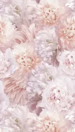 fototapeta-peonie-piwonie-tapeta-winylowa-na-flizelinie-grandeco-280x159-3d
