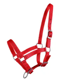 kantar-zrebiecy-qhp-falabella-pasuje-na-hobby-horse-czerwony-foal