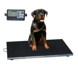 waga-magazynowa-300kg-96x50cm-platformowa-specjalistyczna-do-zwierzat