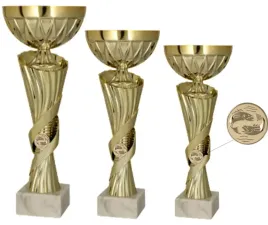zestaw-komplet-3-pucharow-wedkarskich-ryby28-24-22-opis-emblemat