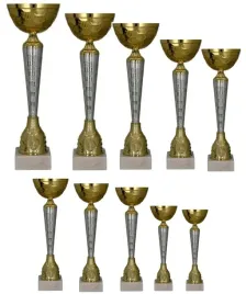 zestaw-10-pucharow-gradacja-40-27-cm-opis-emblemat-dziesiatka-pucharow