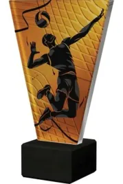 trofeum-szklane-siatkowka-vl1-d-vol-bk-15-cm-z-tabliczka
