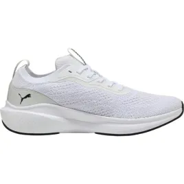 buty-meskie-puma-skyrocket-lite-310100-15-r-41